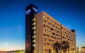 One Chihuahua Fashion Mall